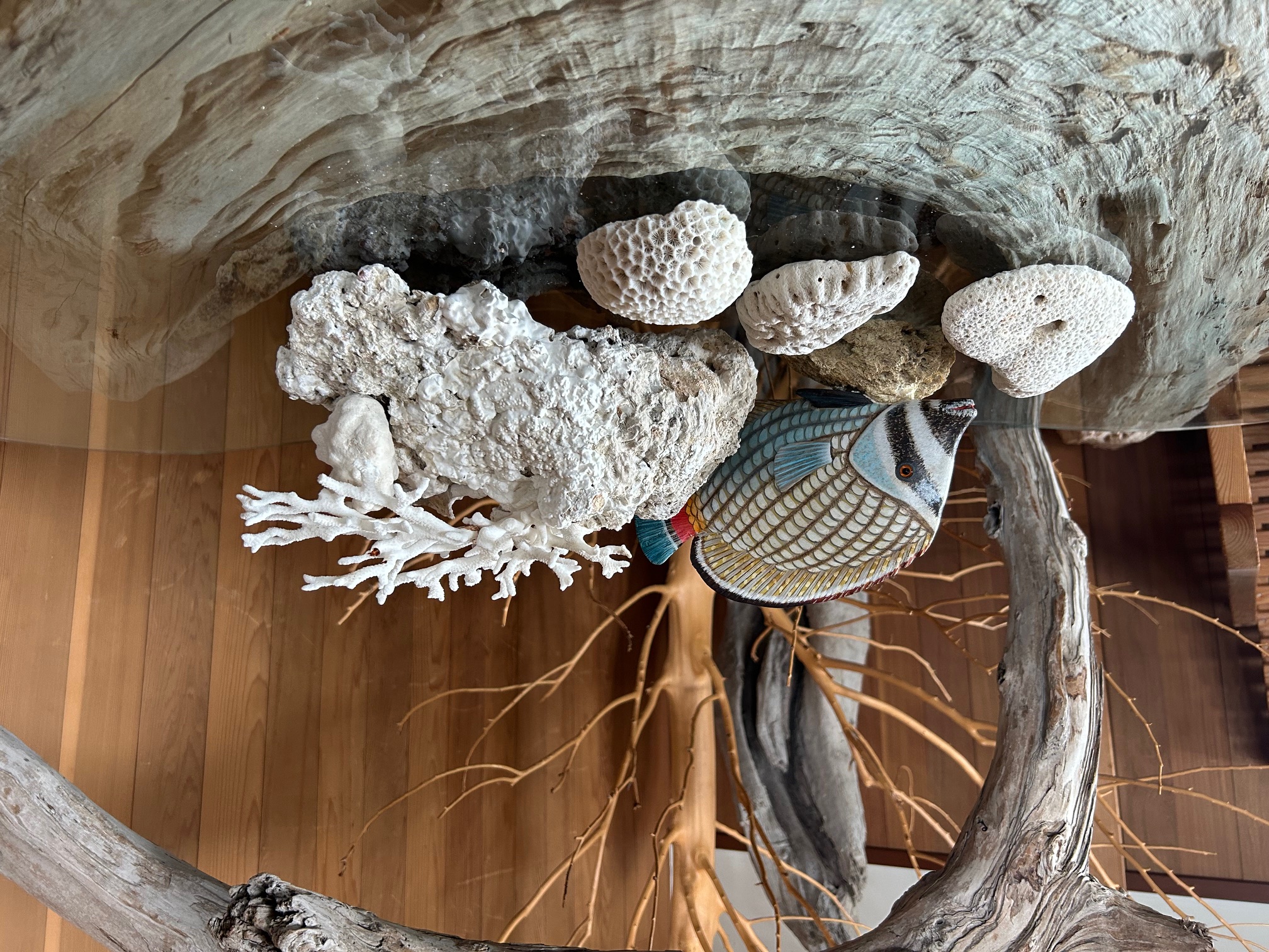 コーラルインテリアガーデン